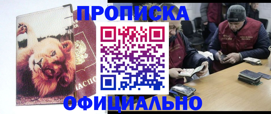 прописка в квартире в Щёлково